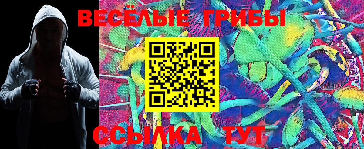 Еманжелинск  Галлюциногенные грибы Cubensis  Вход с VPN  Галлюциногенные грибы Psilocybe 